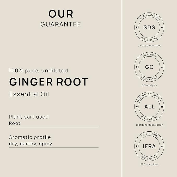 VINEVIDA Dried Ginger Root Essential Oil - Gallon Ginger Root Oil Undiluted - Bulk Gallon Essential Oil for Soap Making Safe for Skin - DIY Candle Scents for Candlemaking Scents - 8 lbs