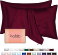 Mulberry Silk Pillow Cases 2 Pack Standard Size 20x26 Inches with Hidden Zipper, Ultra Smooth and Soft Breathable Cooling Silk Satin Pillowcase Set of 2, Better for Hair and Skin, Gifts for Women Men