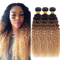 4/27 Bundles Human Hair Ombre Brown Kinky Curly Bundle Niegmeag Unprocessed Brazilian Virgin Remy Hair Extensions 26 28 30 Inch Double Weft 2 Tone Brown and Honey Blonde Bundles