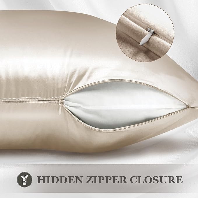 Adubor Silk Pillowcase 2 Pack for Hair and Skin with Hidden Zipper, Both Sides 23 Momme Silk Pillow Case (Beige, Queen: 20''X30'')