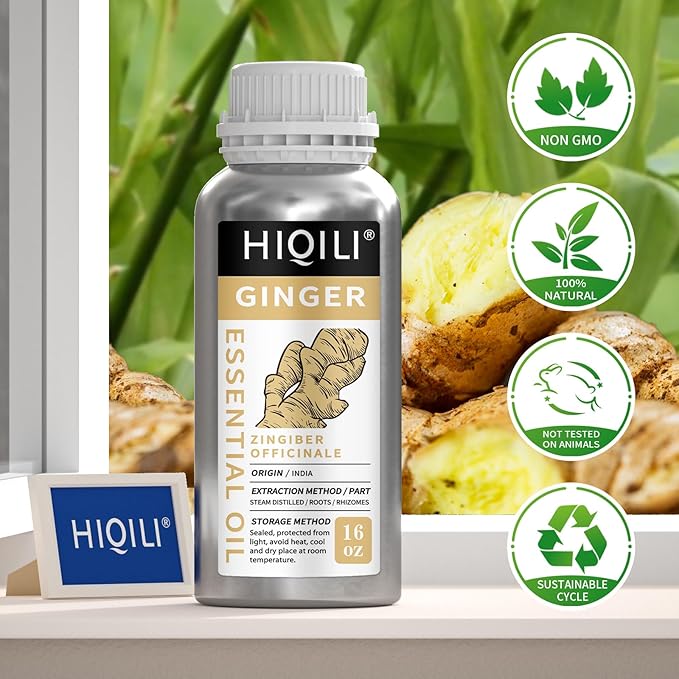 HIQILI 16 Fl Oz Ginger Oil, 100% Pure Natural Ginger Essential Oil for Hair, Massage, Skin - 500ML