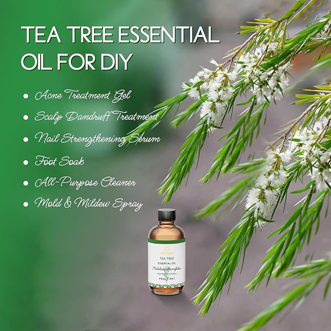 Tea Tree Oil for Skin, Hair, Nails, Shampoo, Body Wash, Foot Soak, Spray - 4 Oz Tea Tree Essential Oil with Roll On Bottle
