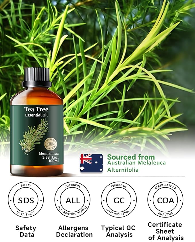 Pure Tea Tree Essential Oil, Mumianhua Natural Purifying Oil for Home & Outdoor Protection, Aromatherapy for Cleansing Air, Diffuser, Hair, Skin & Nail Care, 3.38 Fl Oz