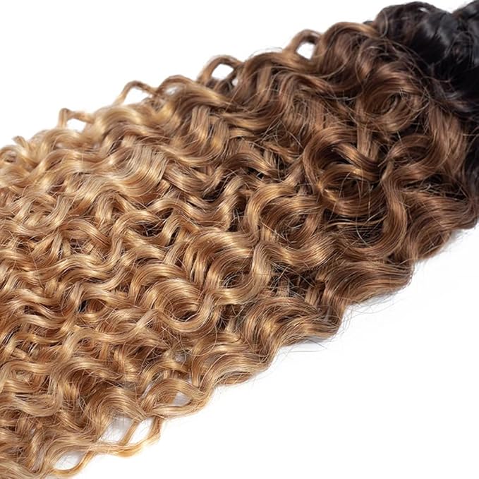 4/27 Human Hair Bundles Blonde Kinky Curly Bundles Niegmeag Hair Brazilian Grade 8A Virgin Hair Extensions 18 20 22 Inch Double Weft Real T1B/4/27 Curly Bundle 100g/Pc