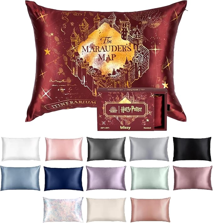 Blissy Silk Pillowcase - 100% Pure Mulberry Silk - 22 Momme 6A High-Grade Fibers - Silk Pillow Cover for Hair & Skin - Regular, Queen & King (Harry Potter - Marauder's Map, Queen)