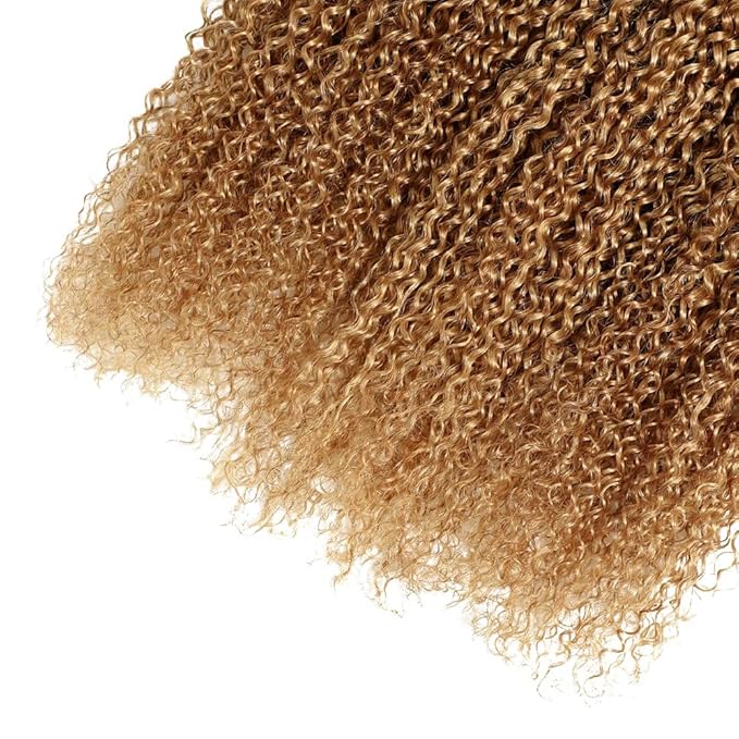 Ombre Bundles Human Hair 1B27 Kinky Curly Bundle Brazilian Virgin Remy Hair 3 Bundles 22 24 26 Inch Double Weft 2 Tone Black and Honey Blonde Kinky Curly Bundle Hair Weave 300g