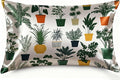 Indoor Plant 1 Pack Satin Pillowcase for Hair and Skin Green Houseplant Imitation Silk Pillowcase with Hidden Zipper Soft Breathable Pillow Cover Standard Size for Bedroom Sofa 20”x26”