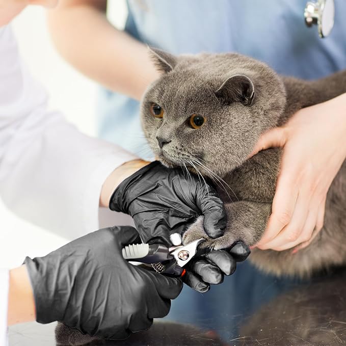 Disposable Gloves Large, Nitrile and Vinyl Blend Latex Free Gloves, 4 Mil,1000 Pc. Food Grade Glove for Cleaning, Food Prep, Hair Dye, Tattoo, Black