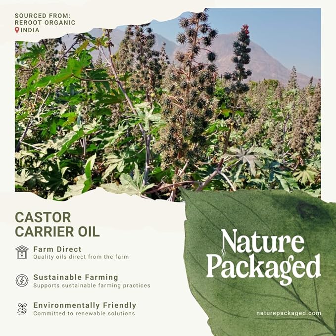 Organic Castor Oil Direct From India - Cold Pressed Castor Oil For Face, Hair Growth, Eyelash Serum, Eyebrow - Skin and Face Moisturizer and Detox - Hexane Free (16 oz)