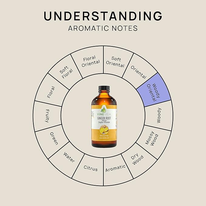 VINEVIDA Fresh Ginger Root Essential Oil 4 oz - Undiluted Ginger Root Oil 4 oz - Ginger Root Candle Oil Scent - DIY Candle Scents for Candlemaking - Bulk Essential Oil for Soap Making Safe for Skin