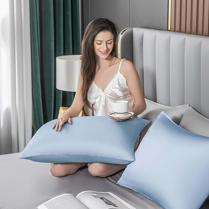 Mulberry Silk Pillowcase for Hair and Skin,Cooling Silk Pillow Case with Hidden Zipper,Allergen Proof Dual Sides Soft Breathable Smooth Silk Pillow Cover for Women (Light Blue,Queen)