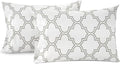 LANE LINEN 100% Organic Cotton King Size Pillow Cases Set of 2 (20"x36") - Pillow Cases King Size, Organic Cotton Pillowcases, King Size Pillow Case Set, King Pillow Cases Set of 2 - Trellis Silver