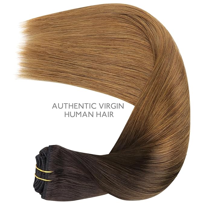 WENNALIFE Clip in Hair Extensions Real Human Hair, 24 Inch 160g 7pcs Remy Hair, Ombre Dark Brown to Light Chestnut Brown Straight Clip Ins Natural Extensiones De Cabello Humano Con