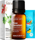 Gya Labs Rose Geranium Essential Oil - 0.34 Fl Oz - for Hair, Skin, Diffuser, Aromatherapy & DIY Candle Making Scent