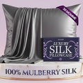 DECOLURE 100% Pure Mulberry Silk Pillow Case Queen Size – Highest Grade 30 Momme 6A+, Luxuriously Soft & Cooling Silk Pillowcase for Hair & Skin, Hypoallergenic, Breathable, Hidden Zipper (Grey)