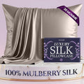DECOLURE 100% Pure Mulberry Silk Pillow Case Standard Size – High Grade 30 Momme 6A+, Luxuriously Soft & Cooling Silk Pillowcase for Hair & Skin, Hypoallergenic, Breathable, Hidden Zipper (Champagne)
