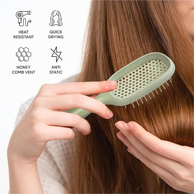 TADA Natural Beauty Hair Brush Detangler for Curly, Thick, Wavy, and Thin Hair - Ventilation Holes for Quick Drying and Styling, Detangler Brush for Women, Men, Kids (4 Colors) (Green)