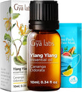 Gya Labs Ylang-Ylang Essential Oil - 0.34 Fl Oz - for Hair, Skin, Diffuser, Aromatherapy & DIY Candle Making Scent