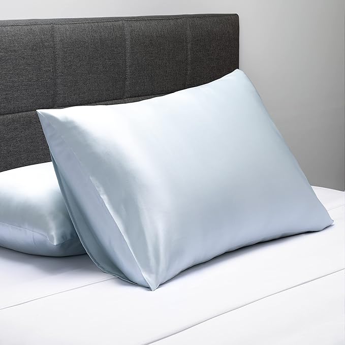 Fishers Finery 19mm 100% Pure Mulberry Silk Pillowcase, Quality Tested (Blue, K)