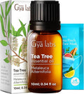 Gya Labs Australian Tea Tree Essential Oil - 0.34 Fl Oz - for Hair, Skin, Diffuser, Aromatherapy & DIY Candle Making Scent