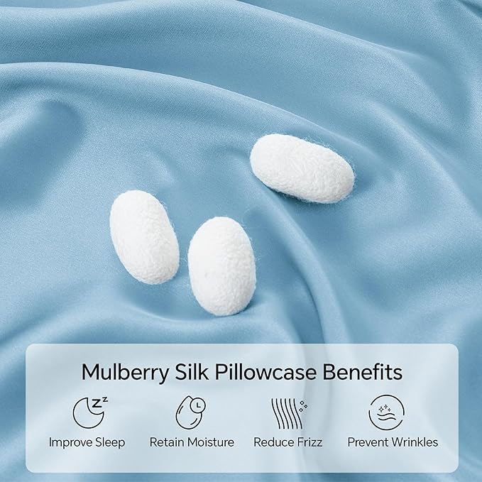 INFIIXSO Silk Pillow Cases 2 Pack Standard Size, Ultra Smooth & Soft Mulberry Silk Pillow Case for Hair and Skin, Breathable Cooling Silk Pillowcase with Hidden Zipper (Light Blue, 20x26 Inches)