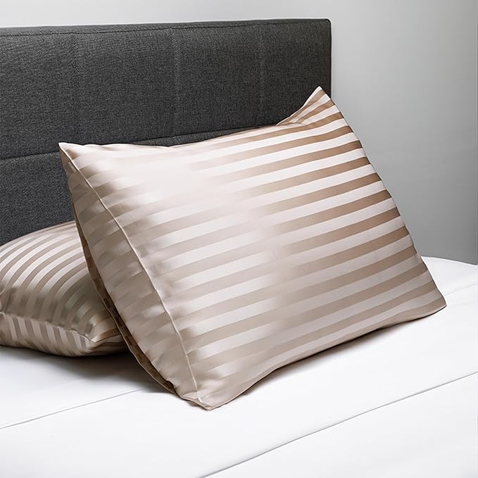 Fishers Finery 25mm 100% Pure Mulberry Silk Pillowcase (Taupe Stripe Standard)
