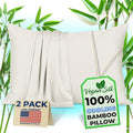 Pillow Cases - 100% Viscose Derived from Bamboo - Cooling Pillowcase - Queen Size, Cream, Set of 2 Zippered - for Hot Sleepers - Soft Pillow Covers - by Vegan Silk