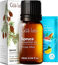 Gya Labs Spruce Essential Oil - 0.34 Fl Oz - for Hair, Skin, Diffuser, Aromatherapy & DIY Candle Making Scent