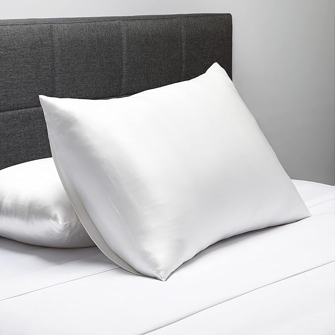 Fishers Finery 19mm 100% Pure Mulberry Silk Pillowcase, Quality Tested (White, Q)