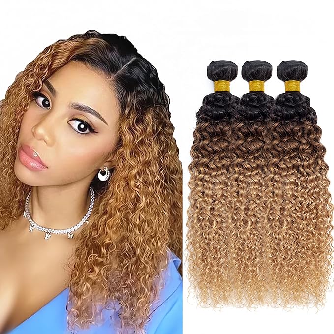 Ombre Blonde Curly Bundles Human Hair Light Brown Bundle 22 24 26 Inch Double Weft 3 Tone Brown and Honey Blonde Bundle Niegmeag Brazilian Virgin Remy Hair Extensions