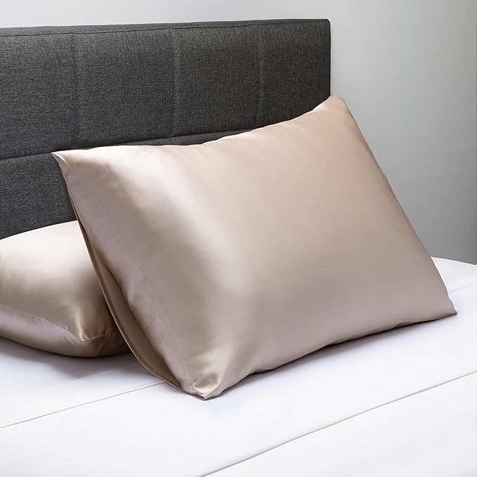 Fishers Finery 19mm 100% Pure Mulberry Silk Pillowcase, Quality Tested (Taupe, S)