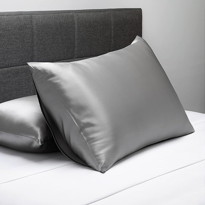 Fishers Finery 19mm 100% Pure Mulberry Silk Pillowcase, Quality Tested (Silver, Q)