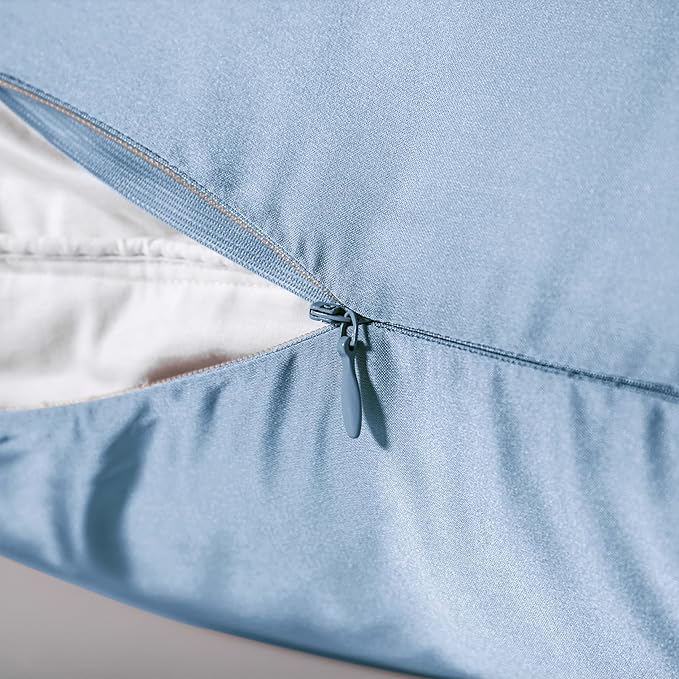 Mulberry Silk Pillowcase for Hair and Skin,Cooling Silk Pillow Case with Hidden Zipper,Allergen Proof Dual Sides Soft Breathable Smooth Silk Pillow Cover for Women (Light Blue,Queen)