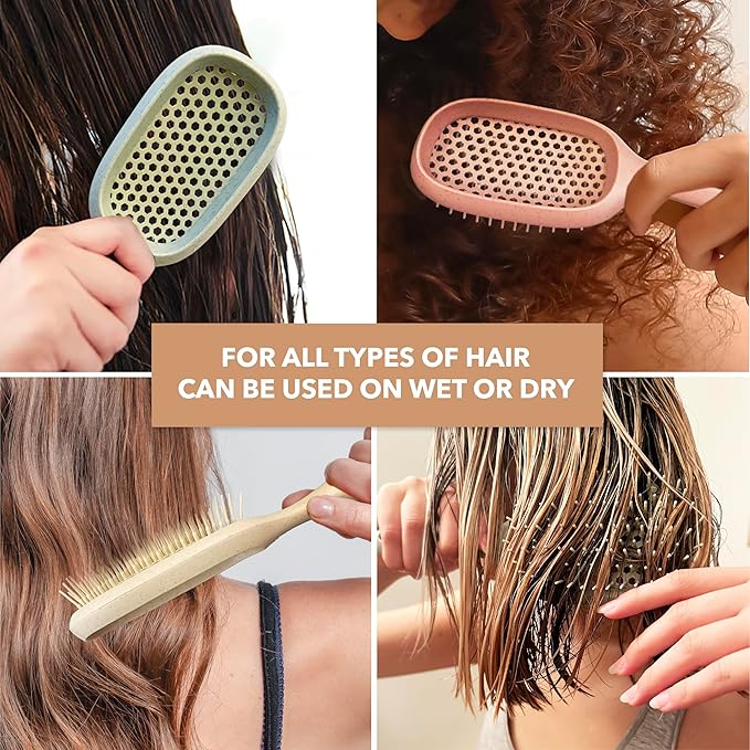 TADA Natural Beauty Hair Brush Detangler for Curly, Thick, Wavy, and Thin Hair - Ventilation Holes for Quick Drying and Styling, Detangler Brush for Women, Men, Kids (4 Colors) (2PK #1)